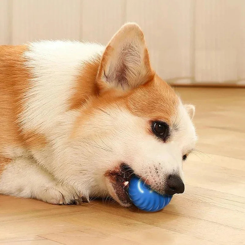 Bola de brinquedo inteligente para cachorro, brinquedo interativo eletrônico para animais de estimação           4.3   3413 avaliações   ౹   10.000+ vendidos