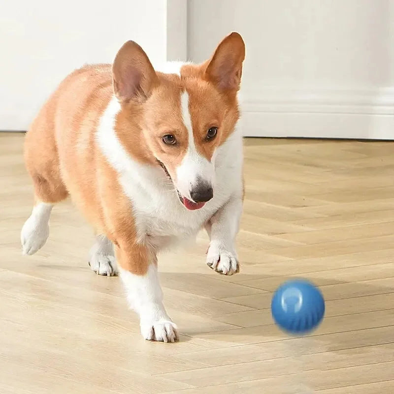 Bola de brinquedo inteligente para cachorro, brinquedo interativo eletrônico para animais de estimação           4.3   3413 avaliações   ౹   10.000+ vendidos