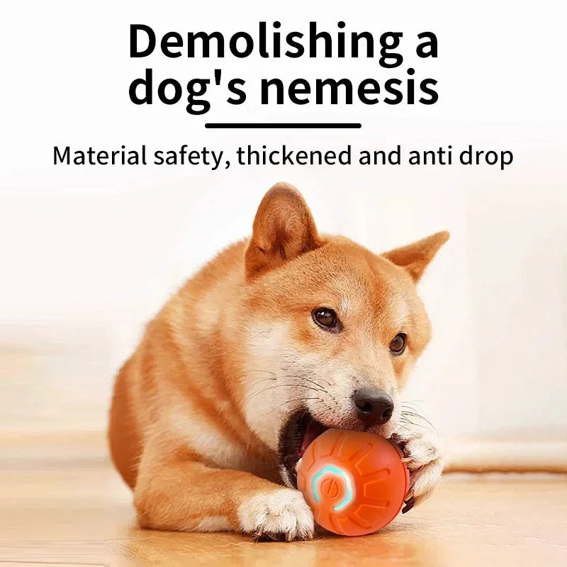 Bola de brinquedo inteligente para cachorro, brinquedo interativo eletrônico para animais de estimação           4.3   3413 avaliações   ౹   10.000+ vendidos