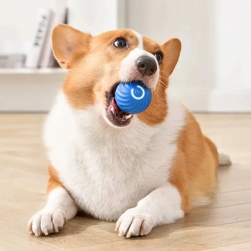 Bola de brinquedo inteligente para cachorro, brinquedo interativo eletrônico para animais de estimação           4.3   3413 avaliações   ౹   10.000+ vendidos