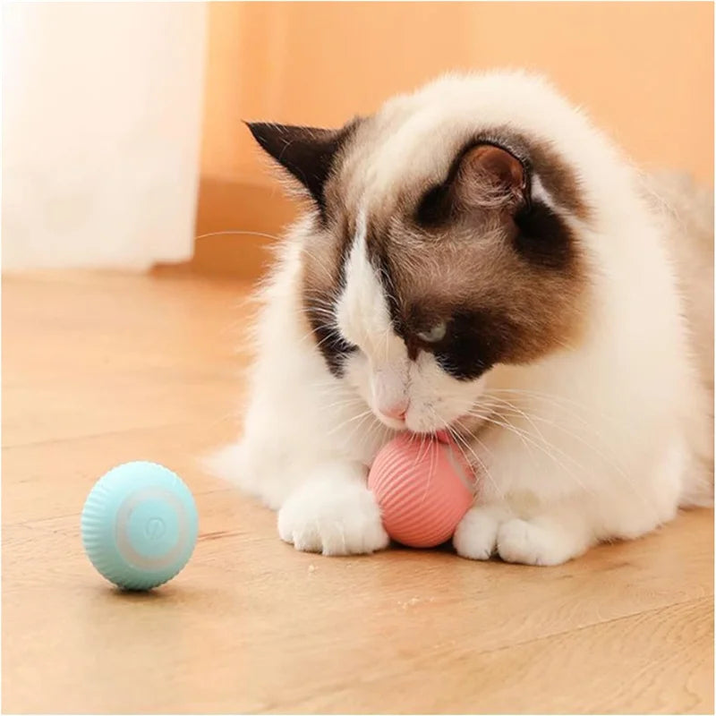 Bola de brinquedo inteligente para cachorro, brinquedo interativo eletrônico para animais de estimação           4.3   3413 avaliações   ౹   10.000+ vendidos